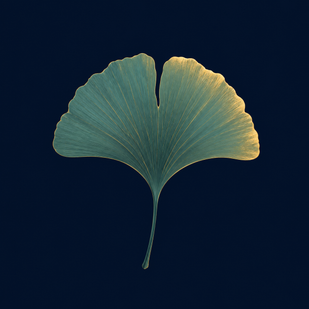 GINKGO BILOBA — 40mg